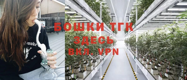 винт Алексин