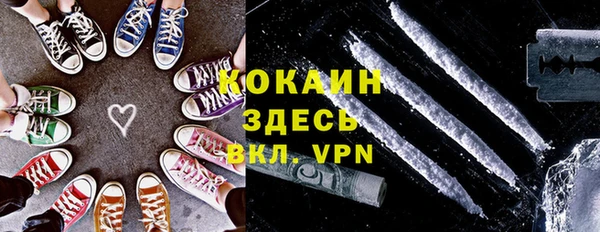 spice Алзамай