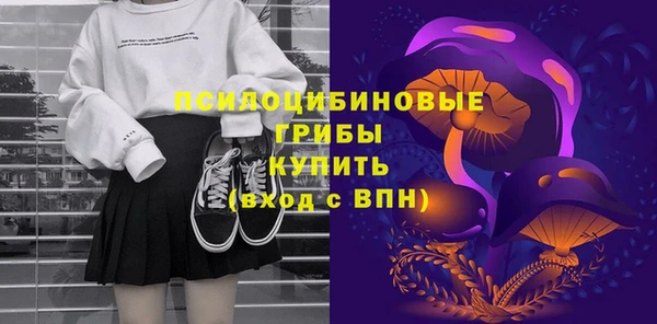 spice Алзамай