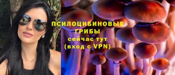 spice Алзамай