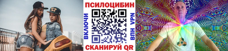 площадка клад  Сосенский  Псилоцибиновые грибы Cubensis 